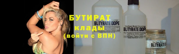 прущие грибы Надым