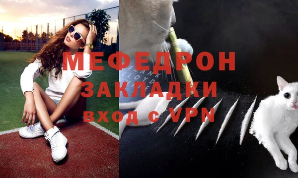 прущие грибы Надым