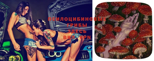 прущие грибы Надым