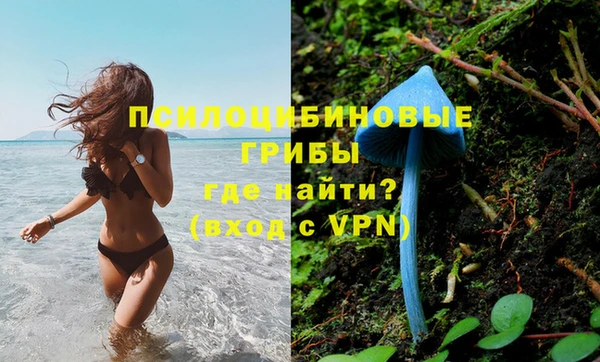 прущие грибы Надым