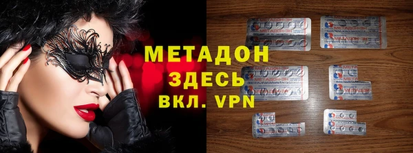 прущие грибы Надым