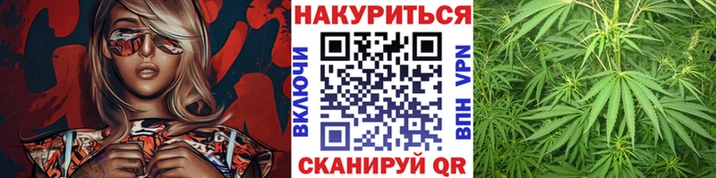 Купить  Михайловск  Каннабис индика 